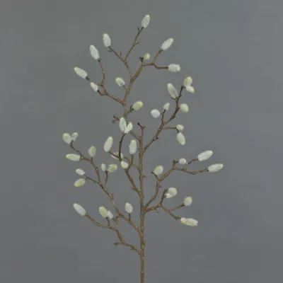 Produktbild von artplants.de Künstlicher Magnolien Zweig Kotori, 40 Kätzchen, weiß - braun, 75cm - Kunstzweig - Kunstblumen
