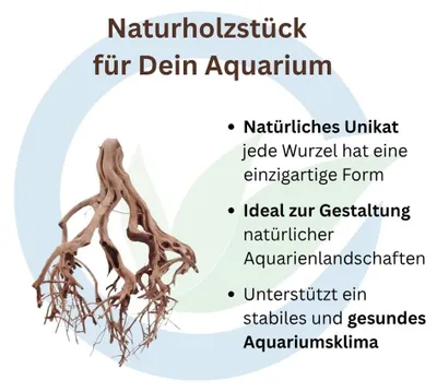 Produktbild von Aquarium Wurzel aus Holz, Größe M, 10-20 cm, Naturprodukt, nicht vorgewässert
