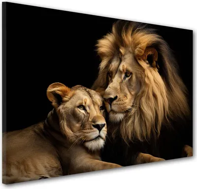 Produktbild von Beautiful Lions Löwen Wandbild Leinwandbild Kunstdruck XL Wanddeko: 120x80x4cm