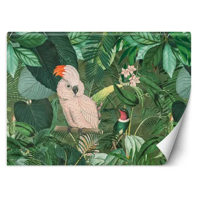 Produktbild von FOTOTAPETE Tropische Monstera Blätter 450x315 cm VLIES Tapete Wandtapete Wandbilder Wanddekoration Design Wohnzimmer Schlafzimmer Flur Büro Küche