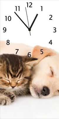 Produktbild von Wallario Design Wanduhr bedruckt, Größe 30 x 60 cm, Motiv: Katze und Hund in Harmonie - Kuschelnde Tiere