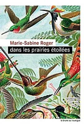 Image de Dans les prairies étoilées