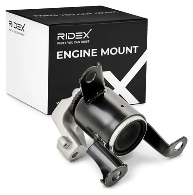 Produktbild von RIDEX Motorlager Hydrolager Gummimetalllager Rechts für FORD Fiesta Mk6 Schrägheck (JA8, JR8) 247E0386