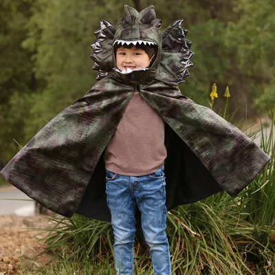 Dinosaurier Kostüm Dilophosaurus Echse für Kinder 4-8 Jahre grün Tier Fasching Karneval Mottoparty Kinderfasching Dino Saurier Dino-Kostüm Urzeit