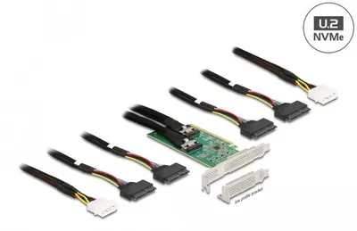 Image de DELOCK PCI Express 4.0 x16 Karte zu 4 x SFF-8639 NVMe