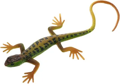 Productafbeelding van Fake Lizard - Realistische fake rubber hagedissen speelgoed - Feestgunsten Decoratie - Gag Speelgoed - Prank en prop