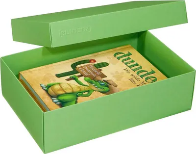 Produktbild von Buntbox l Geschenkboxen 3.6 l grün 26.6 x