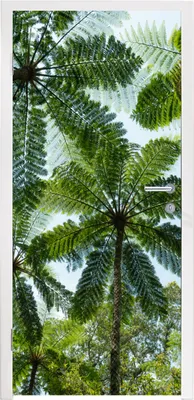 Produktbild von MuchoWow® Türtapete Selbstklebende Türfolie Bäume und Blätter im Dschungel 85x215 cm Türposter Türaufkleber Klebefolie Türklebefolie - Aufkleber für türen - Türplakat - Dekoration