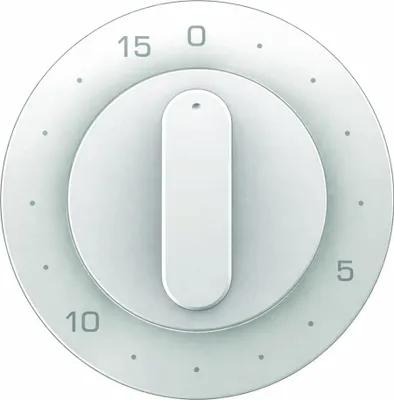 Produktbild von Berker R.x Zentralstück für 15 Min. Zeitschaltuhr polarweiß glänzend, 1 Stk.