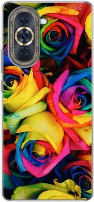 Produktbild von König Design Hülle kompatibel mit Huawei nova 10 Kunststoff Soft Handyhülle - Handy Case Bunte Rosen
