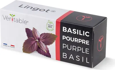 Produktbild von Véritable 3760262511146, Essbare Pflanze, Basilikum, Nachfüllen, Schnellwachsend (3-5 Wochen), 7 Tag(e), 4 - 6 Monat( e)
