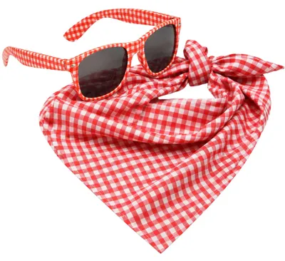 Kariertes Halstuch Brille Set rot weiß