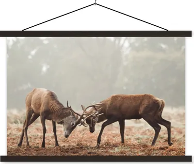 Produktbild von MuchoWow® Textilposter Hirsche - Wald - Gras 60x40 cm mit schwarzem Rahmen - Hölzernes
