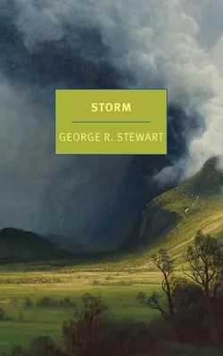 Immagine prodotto di Storm