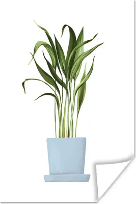 Produktbild von MuchoWow® Poster Zimmerpflanze - Blumentopf - Weiß 60x90 cm - Wanddekoration