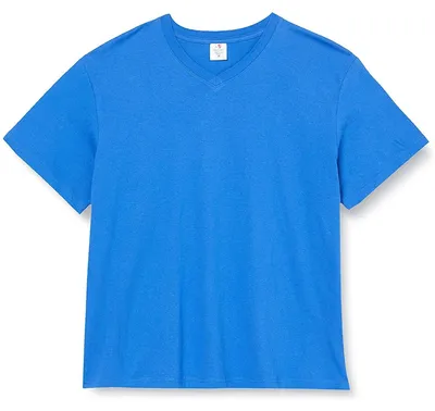 Image de T-shirt à col en V pour homme Stedman LT870 (S) (bleu roi vif)