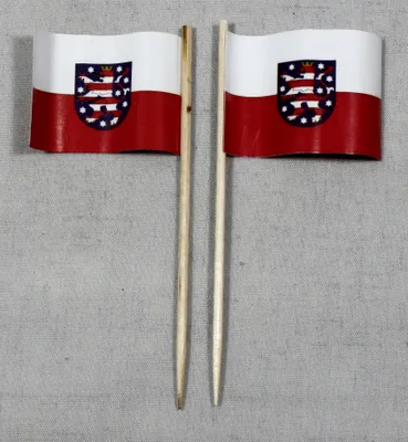 Produktbild von Party-Picker Flagge Thüringen Papierfähnchen in Spitzenqualität 25 Stück Beutel