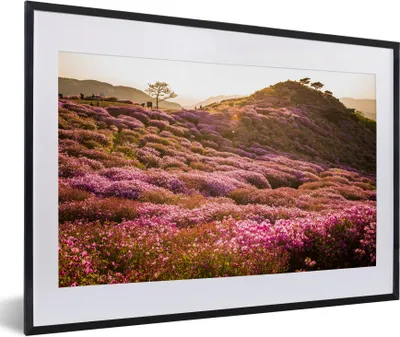 Produktbild von MuchoWow® Gerahmtes Poster Hügelige Heidelandschaft 60x40 cm - Poster mit Schwarzem Bilderrahmen Wandposter Rahmen Foto Bilder - Schlafzimmer - Plakat in Rahmen - Drucken