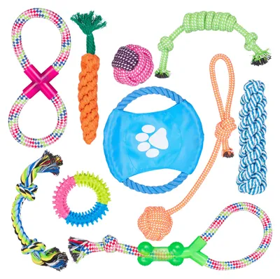 Produktbild von Relaxdays Hundespielzeug Set 10 teilig, Tauspielzeug, Zerrspielzeug, Wurfscheibe, Welpen, kleine & mittlere Hunde, bunt