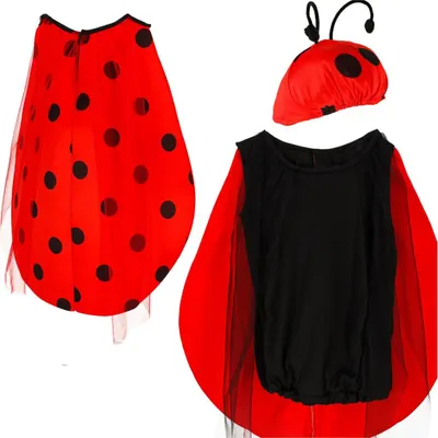 A ladybug costume for children, including a cape and a hat.