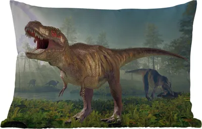 Produktbild von MuchoWow® Outdoor Kissen - Dino - Gras - Zeichnung - Kinder - Jungen - 50x30 cm - Wetterfest - Lounge Kissen - Sofa kissen - Wohnzimmer Dekoration
