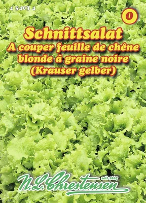 Produktbild von Schnittsalat Bionda a foglia die querica | Salatsamen von N.L. Chrestensen