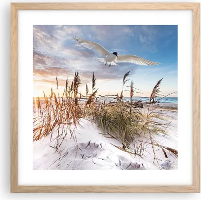 Produktbild von Gerahmtes Poster - Rahmen in heller Eiche - Möwe Meer Küste - 40x40 cm - Wand Bild - Wanddeko - Wandbilder - Kunstposter - Wandposter - Bilderrahmen - Bilder - Kunstdruck - P2NAC40x40-4902