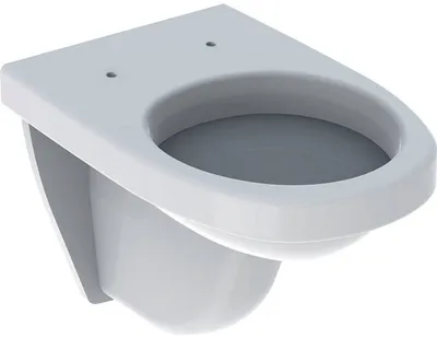 Produktbild von Geberit 300 Basic Wand-WC 35,5x53x40 cm Weiß