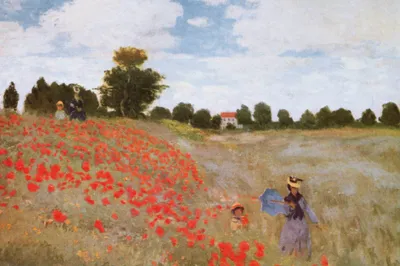 Obrázek produktu pro Claude Monet umělecký tisk obrazu - Mák, 1873 (80 x 120 cm)