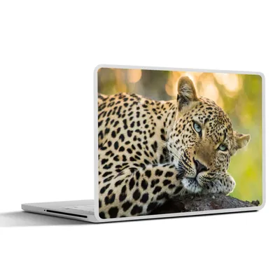 Produktbild von MuchoWow® Laptop Aufkleber Sticker Cover Leopard - Natur - Sonnenuntergang 30x22 cm - Laptop-Sticker