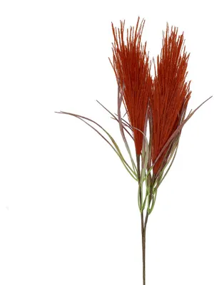 Image de Pomax Plandai, fleur décorative, rouge, hauteur 72 cm