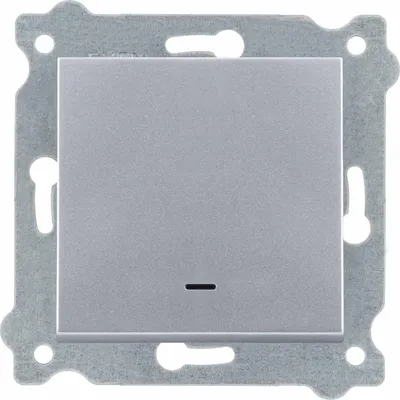 Image de Interrupteur inverseur avec éclairage | Argent | 210/10E | EXEN |