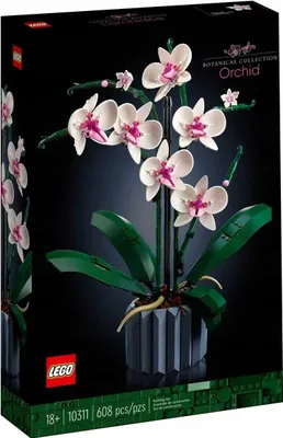Produktbild von LEGO Icons Detailgetreuer Orchidee Modellbausatz 10311, 39 cm hoch, 608 Teile