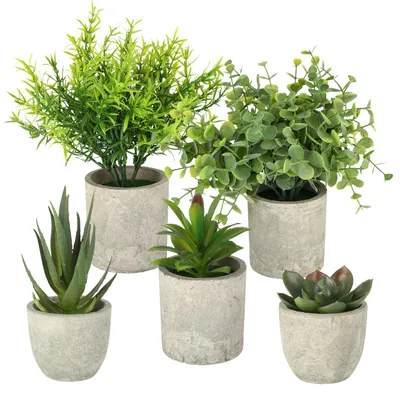 Produktbild von Set mit 5 künstlichen Mini-Pflanzen, realistische künstliche Sukkulenten – die perfekte Dekoration für Wohnzimmer, Schlafzimmer und Büro mit stilvollen künstlichen Pflanzen.