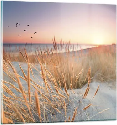 Produktbild von Bilder auf glas - Einteilig - Sonne Vögel Sand - 70x70cm - Glasbilder - Wandbilder - Bilder - zum Aufhängen bereit - Wanddekoration aus Glas - Glas Bilder - Wandbild auf Glas - GAC70x70-4810