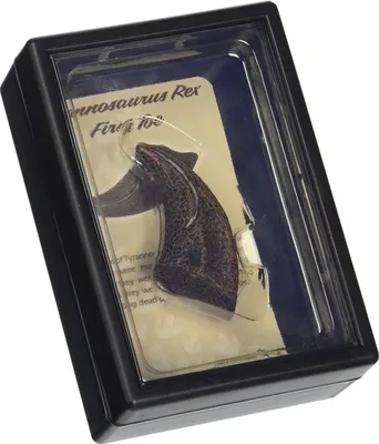 Obrázek produktu pro Tyranosauří dráp v balení 89280 COLLECTA