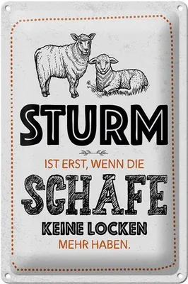 Produktbild von Blechschild Spruch lustig Sturm wenn Schafe Locken 20x30cm