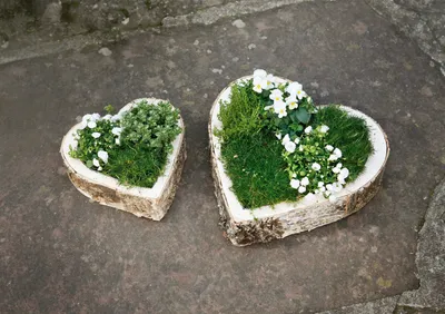 Produktbild von Pflanz-Herz 'Birke', 2er Set bepflanzen Garten Terrasse Balkon