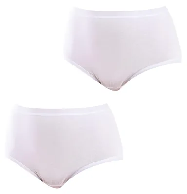 Produktbild von Q-EN 2er-Pack Bambus-Slips für Damen in großen Größen Q908R