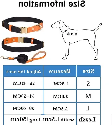 Nylon-Halsband mit verstellbarem Metallverschluss - Leder- und Nylonhalsbänder und Leinen-Set für kleine, mittelgroße und
