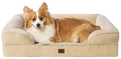 Immagine prodotto di Cuccia ortopedica per cani, color beige chiaro, dimensioni 89x56x17 cm, con rivestimento removibile