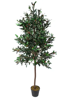 Produktbild von Großer künstlicher Olivenbaum Premium 185 cm Echtholzstamm Kunstpflanze künstliche Pflanze Mediterran im Topf