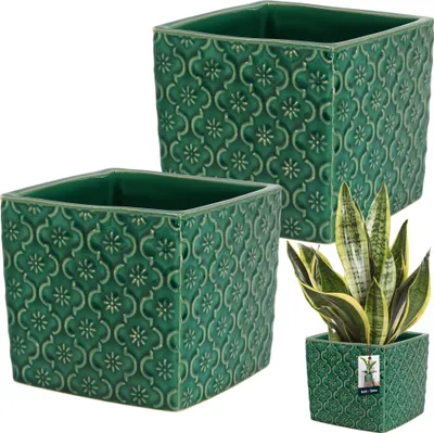 Two green ceramic planters with a decorative pattern are shown against a white background. A third planter with a snake plant is visible in the lower right corner.