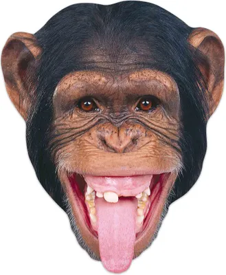 Image de Masque animalier - Masques - Chimpanzé