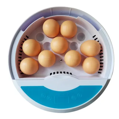 Imagen del producto de Incubadora mini inteligente para aves, ideal para granjas y uso doméstico, con capacidad para 9 huevos, perfecta para la cría de aves, incluyendo loros