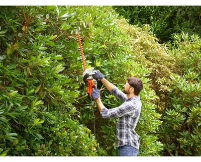 Immagine prodotto di Black & Decker Elektro-Heckensch.,500W,55cm,22mm,Sägebl