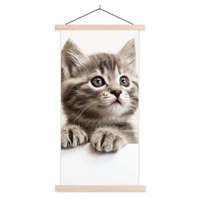 Produktbild von MuchoWow® Textilposter Katze - Grau - Tiere 60x120 cm mit holzfarbenen Rahmen - Holz