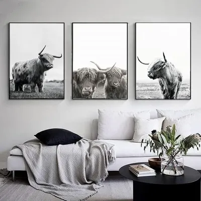 3er-Set Hochlandkuh Canvas Poster, 50x70 cm, Schwarz-Weiß