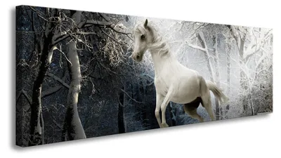 Produktbild von Visario Leinwandbild Weißes Pferd Winterwald 120x40 cm – Bild Wandbild Kunstdruck, aufhängfertig, Echtholzrahmen, Zackenaufhänger, Art. 5739