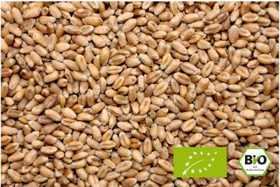 Produktbild von LanDixx B I O Weizen 10 kg